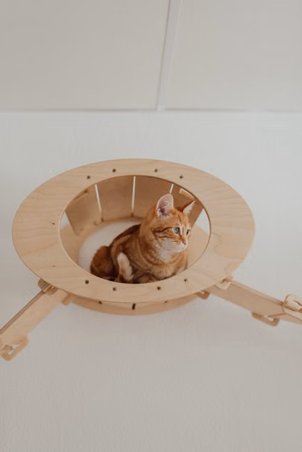 Cama Pet Confortável